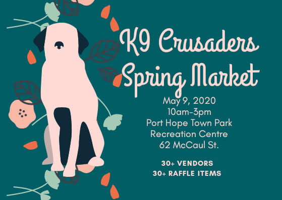 Partnerships with local animal rescue organizations