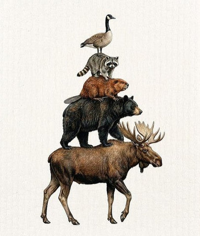 Canadian Animals
