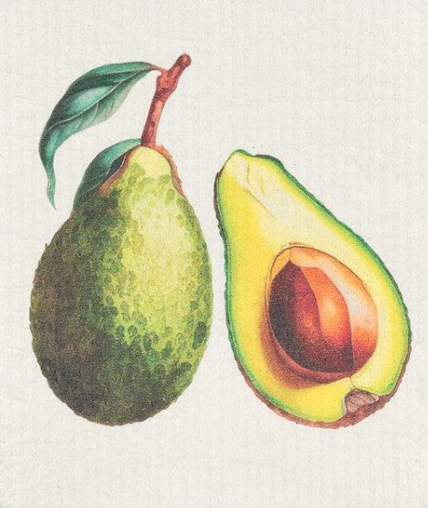 Avacado